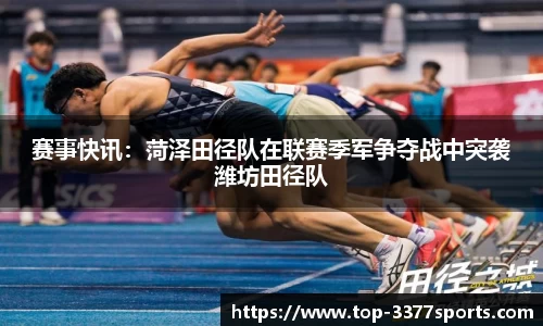 3377体育官网
