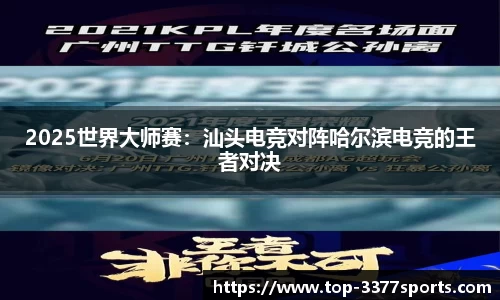 3377体育官网